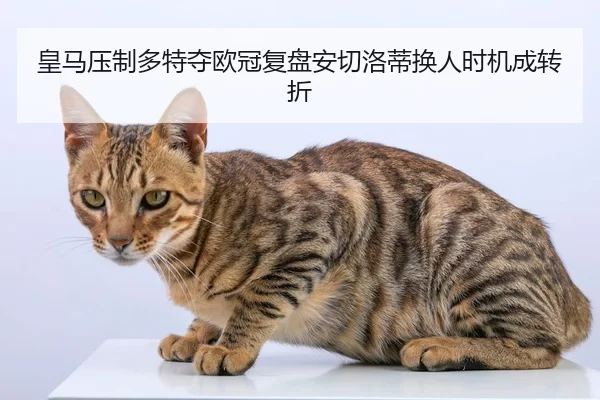 皇马压制多特夺欧冠复盘安切洛蒂换人时机成转折