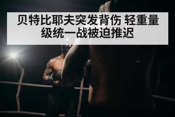 贝特比耶夫突发背伤 轻重量级统一战被迫推迟